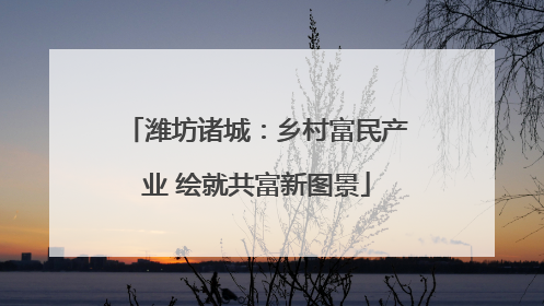 潍坊诸城：乡村富民产业 绘就共富新图景