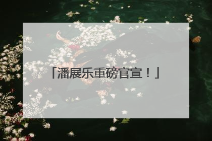 潘展乐重磅官宣！