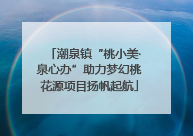 潮泉镇“桃小美·泉心办”助力梦幻桃花源项目扬帆起航