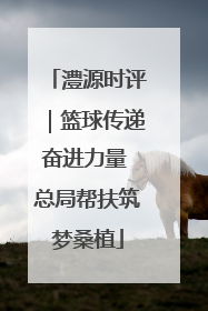 澧源时评｜篮球传递奋进力量 总局帮扶筑梦桑植