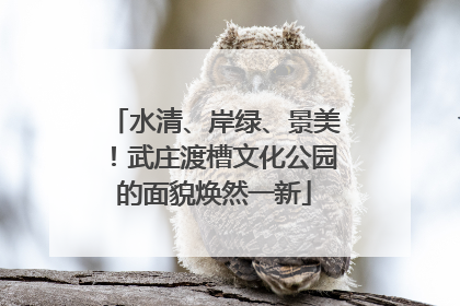 水清、岸绿、景美！武庄渡槽文化公园的面貌焕然一新
