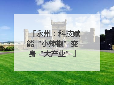 永州：科技赋能“小辣椒”变身“大产业”