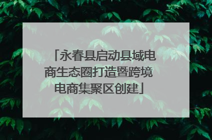 永春县启动县域电商生态圈打造暨跨境电商集聚区创建