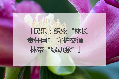 民乐：织密“林长责任网” 守护交通林带“绿动脉”