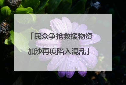 民众争抢救援物资 加沙再度陷入混乱