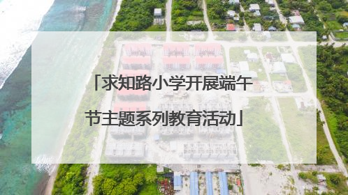 求知路小学开展端午节主题系列教育活动