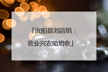 汝阳县刘店镇：薯业兴农助增收