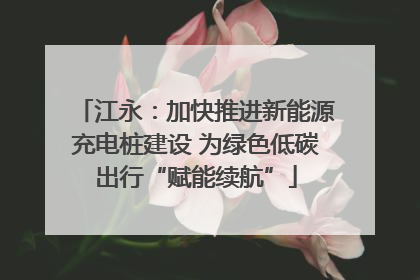 江永：加快推进新能源充电桩建设 为绿色低碳出行“赋能续航”