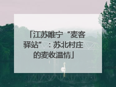 江苏睢宁“麦客驿站”：苏北村庄的麦收温情
