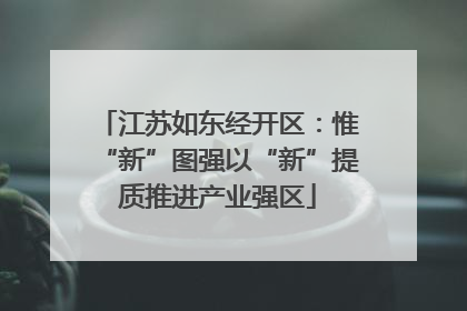 江苏如东经开区：惟“新”图强以“新”提质推进产业强区