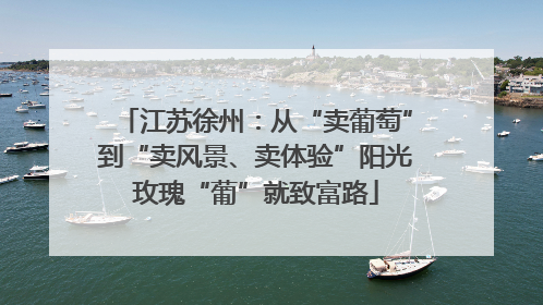 江苏徐州：从“卖葡萄”到“卖风景、卖体验”阳光玫瑰“葡”就致富路