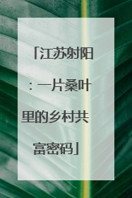 江苏射阳：一片桑叶里的乡村共富密码