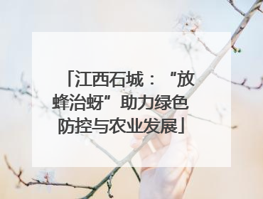江西石城：“放蜂治蚜”助力绿色防控与农业发展