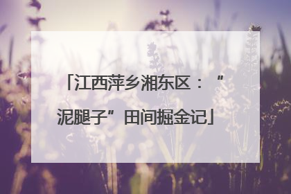 江西萍乡湘东区：“泥腿子”田间掘金记