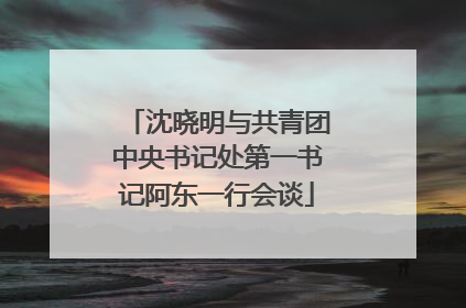 沈晓明与共青团中央书记处第一书记阿东一行会谈
