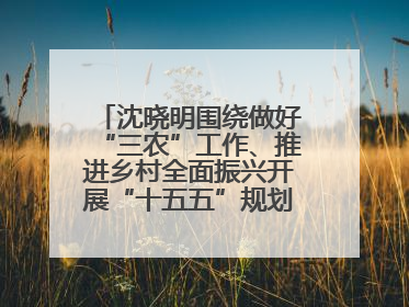 沈晓明围绕做好“三农”工作、推进乡村全面振兴开展“十五五”规划专题调研