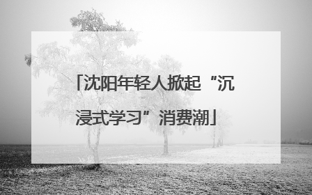 沈阳年轻人掀起“沉浸式学习”消费潮