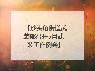 沙头角街道武装部召开5月武装工作例会