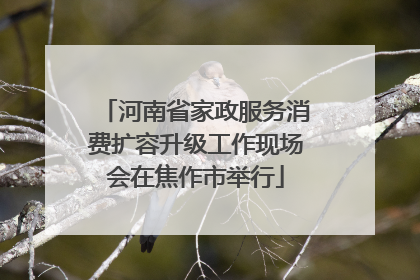 河南省家政服务消费扩容升级工作现场会在焦作市举行