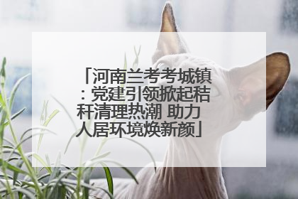 河南兰考考城镇：党建引领掀起秸秆清理热潮 助力人居环境焕新颜