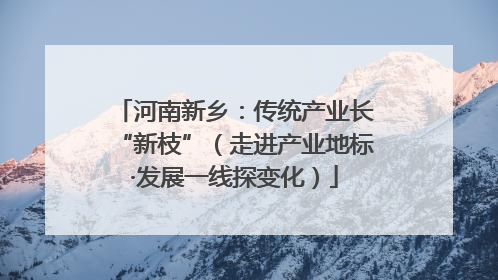 河南新乡：传统产业长“新枝”（走进产业地标·发展一线探变化）