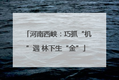 河南西峡：巧抓“机”遇 林下生“金”