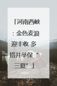 河南西峡：金色麦浪迎丰收 多措并举保“三夏”