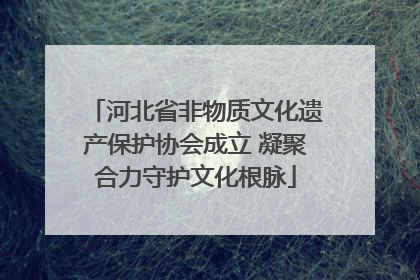 河北省非物质文化遗产保护协会成立 凝聚合力守护文化根脉