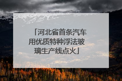 河北省首条汽车用优质特种浮法玻璃生产线点火