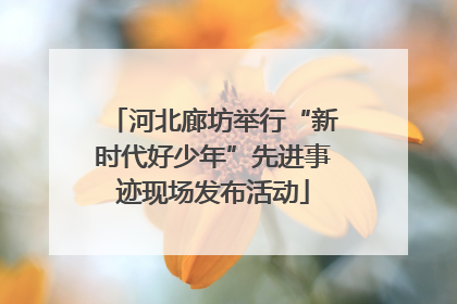 河北廊坊举行“新时代好少年”先进事迹现场发布活动