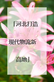河北打造现代物流新高地