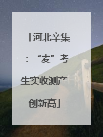 河北辛集：“麦”考生实收测产创新高