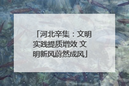 河北辛集：文明实践提质增效 文明新风蔚然成风