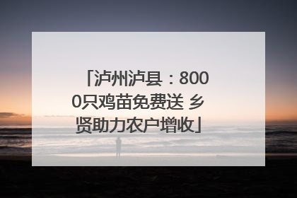 泸州泸县：8000只鸡苗免费送 乡贤助力农户增收
