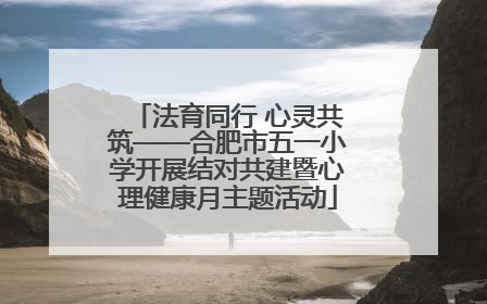 法育同行 心灵共筑——合肥市五一小学开展结对共建暨心理健康月主题活动