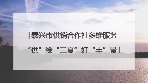 泰兴市供销合作社多维服务 “供”绘“三夏”好“丰”景