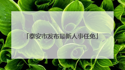 泰安市发布最新人事任免
