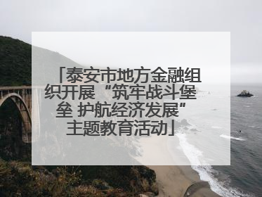 泰安市地方金融组织开展“筑牢战斗堡垒 护航经济发展”主题教育活动