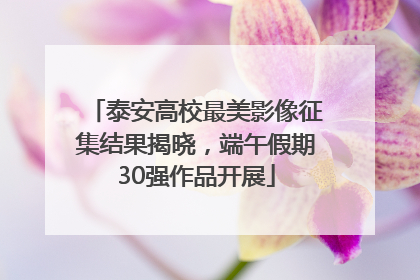 泰安高校最美影像征集结果揭晓，端午假期30强作品开展