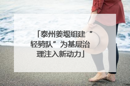 泰州姜堰组建“轻骑队”为基层治理注入新动力