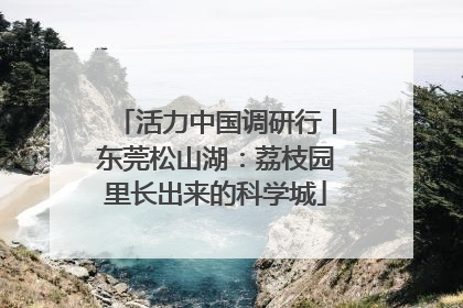 活力中国调研行丨东莞松山湖：荔枝园里长出来的科学城