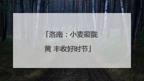 洛南：小麦覆陇黄 丰收好时节