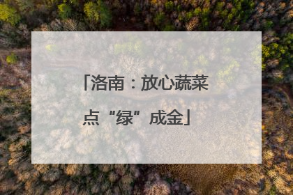 洛南：放心蔬菜点“绿”成金