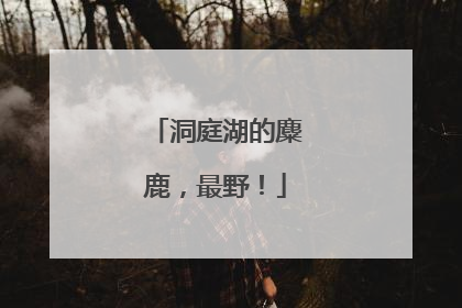 洞庭湖的麋鹿，最野！