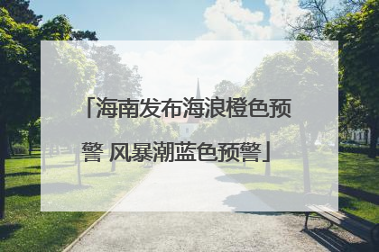 海南发布海浪橙色预警 风暴潮蓝色预警