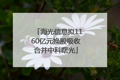 海光信息拟1160亿元换股吸收合并中科曙光
