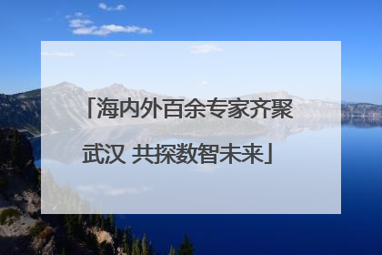 海内外百余专家齐聚武汉 共探数智未来