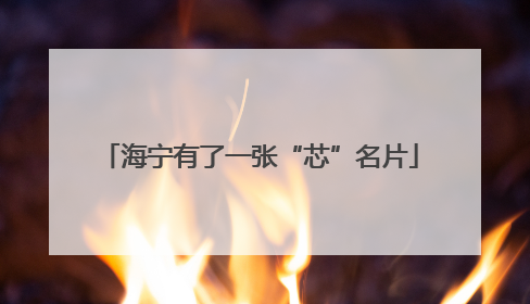 海宁有了一张“芯”名片
