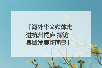 海外华文媒体走进杭州桐庐 探访县域发展新图景