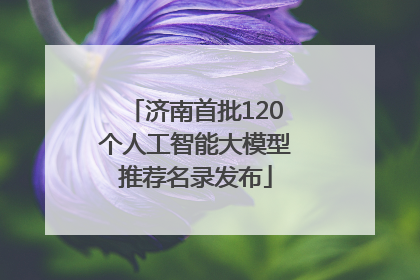 济南首批120个人工智能大模型推荐名录发布